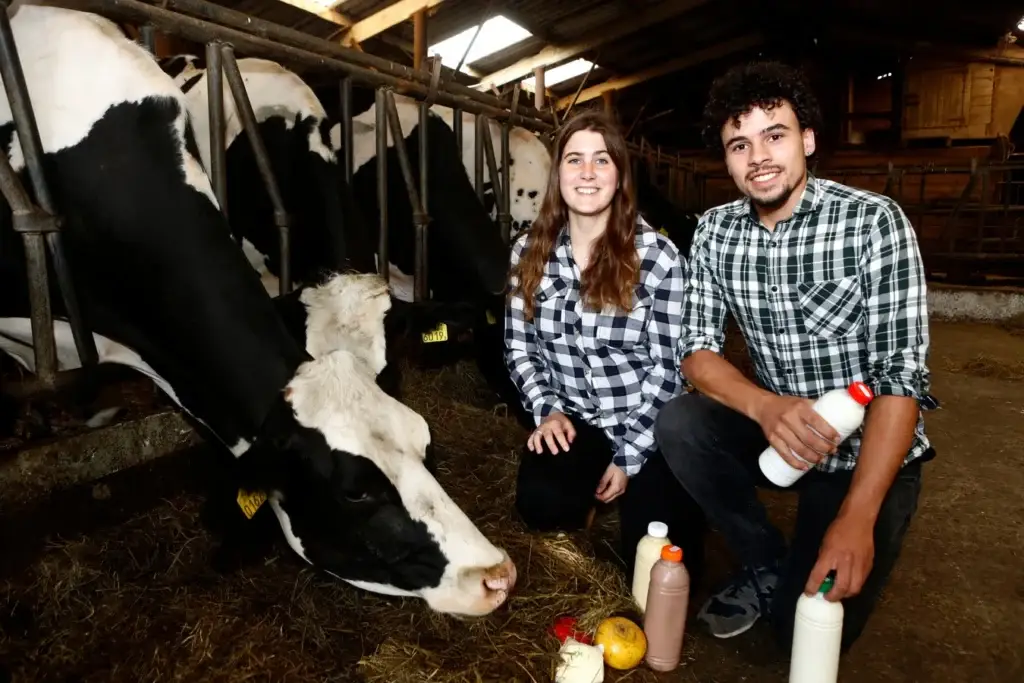 Zuivelboerderij boerderij de Rijk